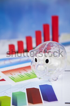 Százalék felirat természetes színes piros pénzügy Stock fotó © JanPietruszka