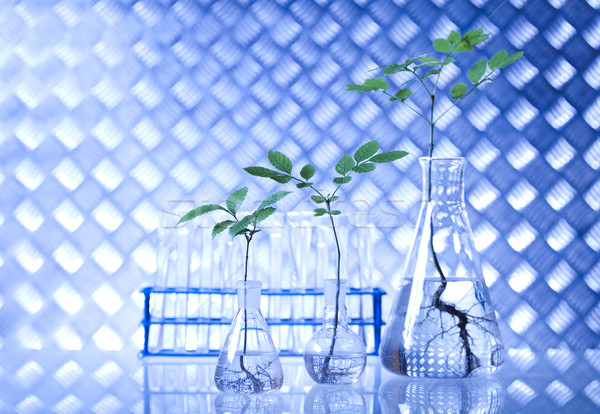 Stock fotó: Laboratórium · üvegáru · felszerlés · kísérleti · növény · orvosi