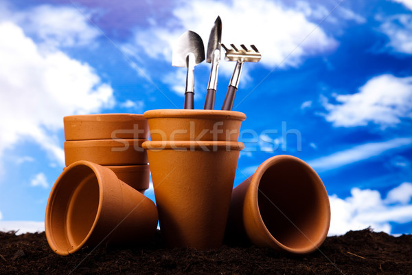 Stock photo: Gardening concept, work tools, plants