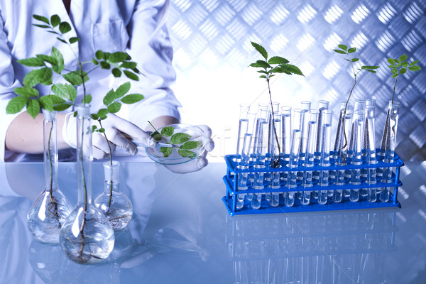 Сток-фото: химии · оборудование · растений · лаборатория · экспериментальный · медицинской