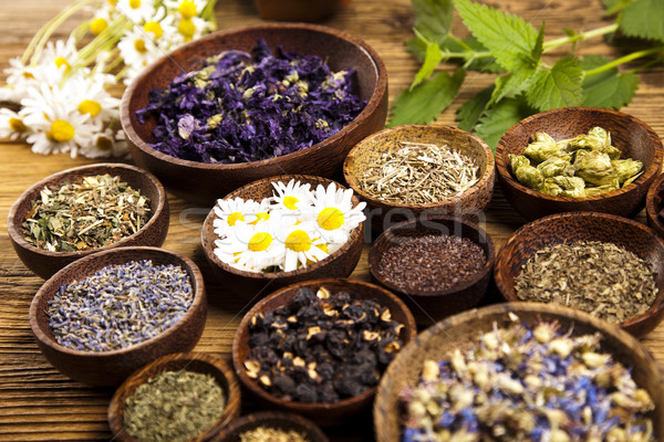 Fresh medicinal herbs on wooden desk Stock photo © JanPietruszka