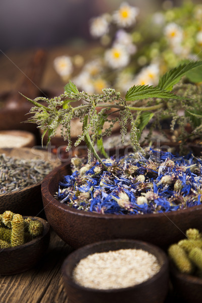 Natural remedy, mortar and herbs Stock photo © JanPietruszka