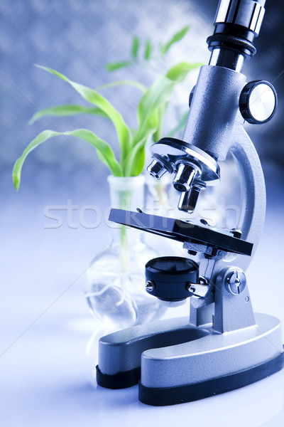 Chemical laboratory glassware, bio organic modern concept Stock photo © JanPietruszka