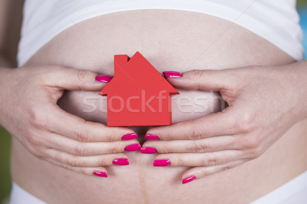 Lifestyle concept, Pregnant new home Stock photo © JanPietruszka