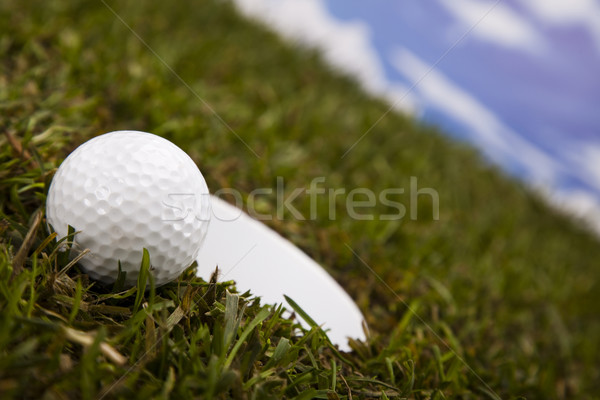  Golf club Stock photo © JanPietruszka
