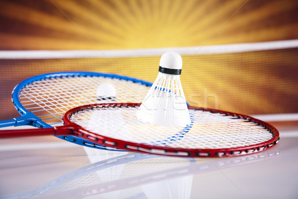 Badminton raquette été amusement plumes balle Photo stock © JanPietruszka