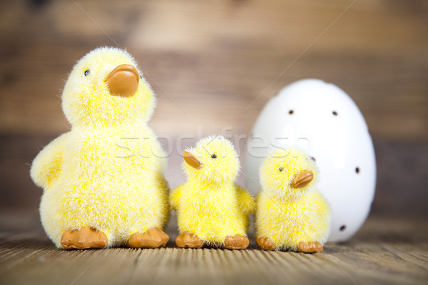 Little easter duck Stock photo © JanPietruszka