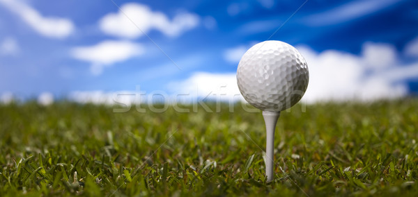 Golfball verde prado golfe clube pôr do sol Foto stock © JanPietruszka