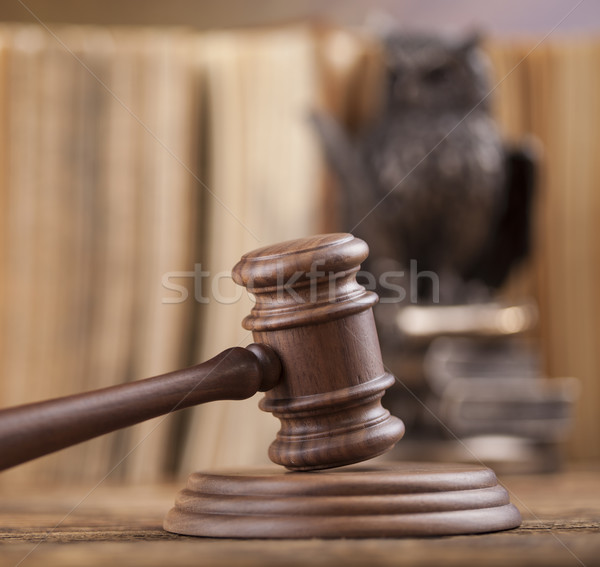 Law concept, owl in a judge gavel concept  Stock photo © JanPietruszka
