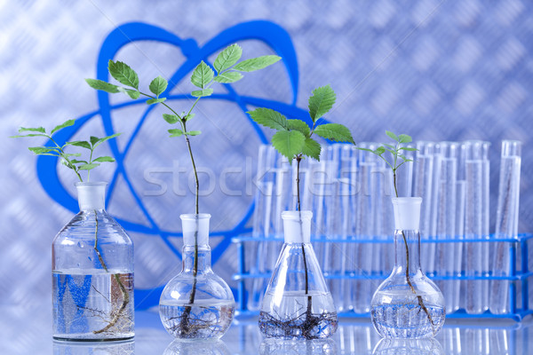 Laboratory glassware, genetically modified plant Stock photo © JanPietruszka