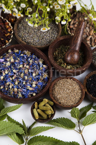 Fresh medicinal herbs on wooden background Stock photo © JanPietruszka
