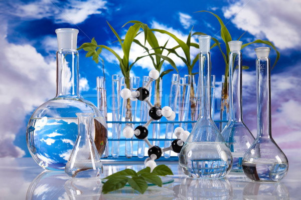 Stock photo: Chemical laboratory glassware, bio organic modern concept