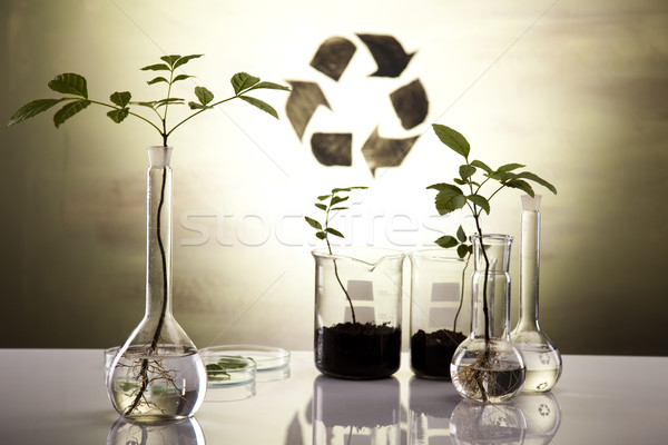 Plant laboratory Stock photo © JanPietruszka
