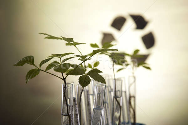 Plant and laboratory  Stock photo © JanPietruszka