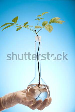 Chemical laboratory glassware equipment, ecology  Stock photo © JanPietruszka