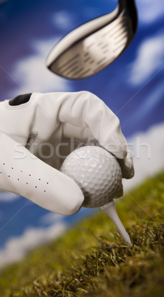Golf ball on tee  Stock photo © JanPietruszka