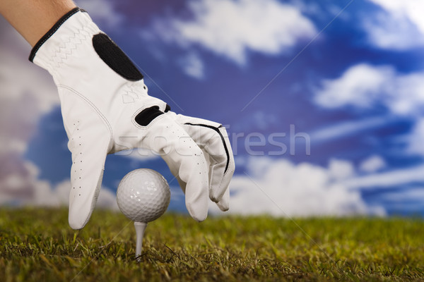 Golf ball on tee  Stock photo © JanPietruszka