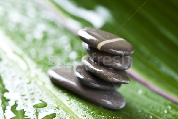 Grup taşlar zen atmosfer bahçe Stok fotoğraf © JanPietruszka