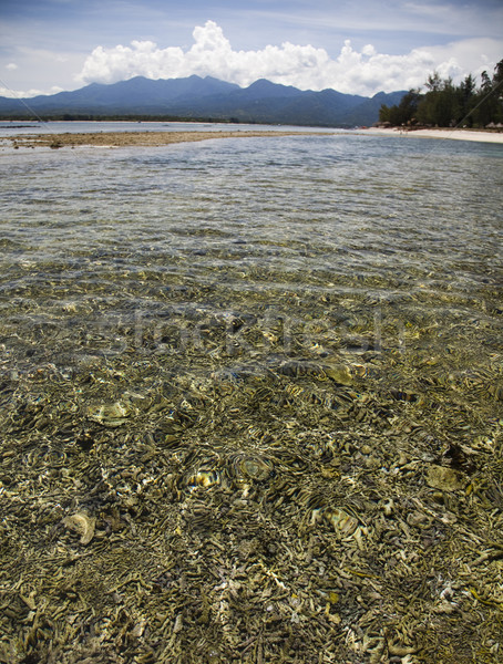 Tropical island of Gili Air, Indonesia Stock photo © JanPietruszka