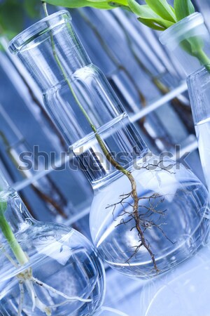 Laboratoire bio organique modernes médecine science [[stock_photo]] © JanPietruszka