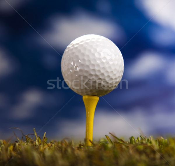 Golf ball on green grass over a blue sky  Stock photo © JanPietruszka