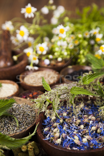 Fresh medicinal herbs on wooden background Stock photo © JanPietruszka