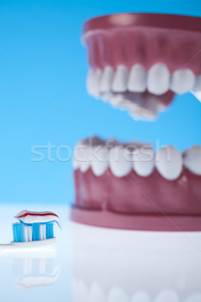 Teeth, Dental health care objects Stock photo © JanPietruszka
