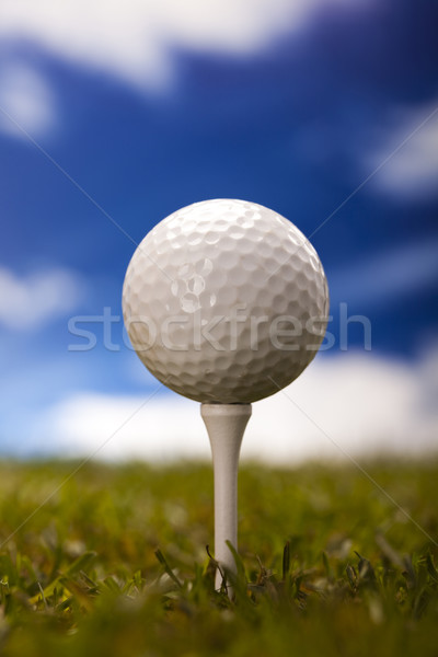 Golf ball on green meadow Stock photo © JanPietruszka