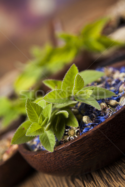 Természetes jóvátétel gyógynövények természetes gyógymódok természet szépség Stock fotó © JanPietruszka