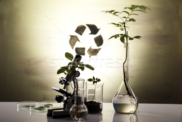 Plant laboratory Stock photo © JanPietruszka
