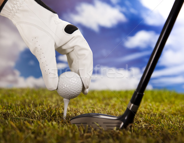 Golfe clube gramado estilo de vida prado objeto Foto stock © JanPietruszka