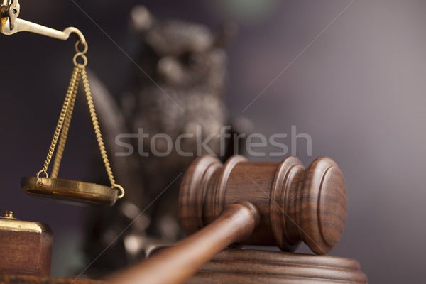 Law concept, owl in a judge gavel concept  Stock photo © JanPietruszka