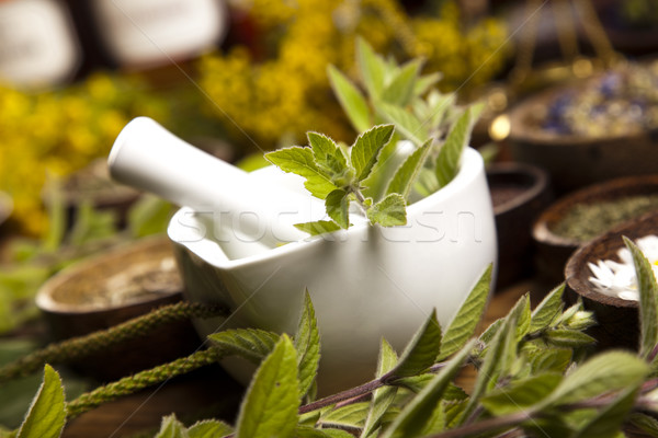 Assorted natural medical herbs and mortar Stock photo © JanPietruszka