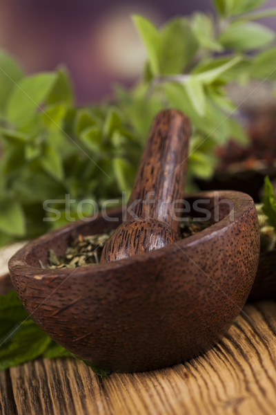Fresh medicinal herbs on wooden background Stock photo © JanPietruszka
