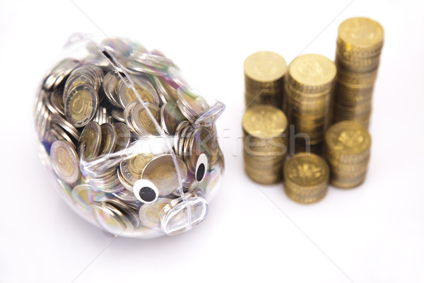 Business concept, Pig bank and money coin Stock photo © JanPietruszka