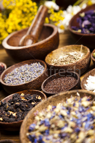 Természetes gyógymódok gyógynövények természetes színes természet szépség Stock fotó © JanPietruszka
