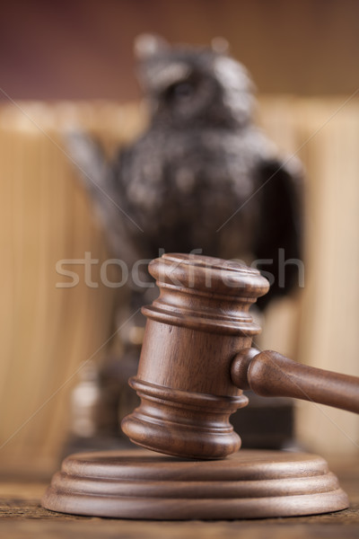 Stock photo: Law concept, owl in a judge gavel concept 