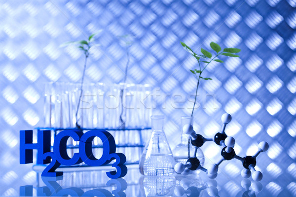 Stock fotó: Kémia · felszerlés · növények · laboratórium · kísérleti · orvosi