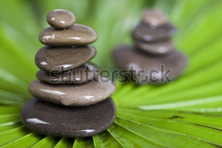 Foto stock: Pedras · bambu · zen · atmosfera · grupo