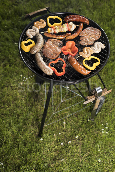 Grill with smoke over summer outdoor nature in garden Stock photo © JanPietruszka