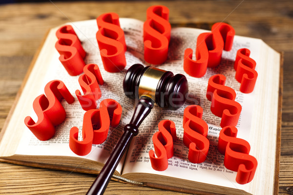 Justice Scale and Gavel, natural colorful tone Stock photo © JanPietruszka