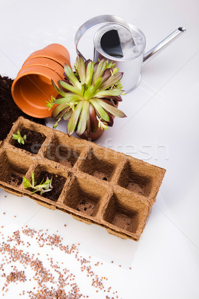 Stock photo: Garden concept, vivid bright springtime