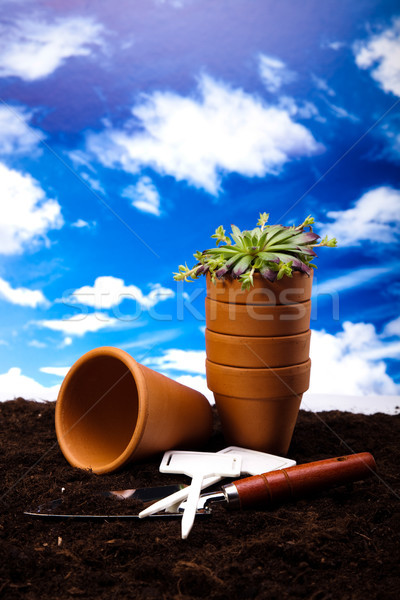 [[stock_photo]]: Jardin · lumineuses · printemps · herbe · nature