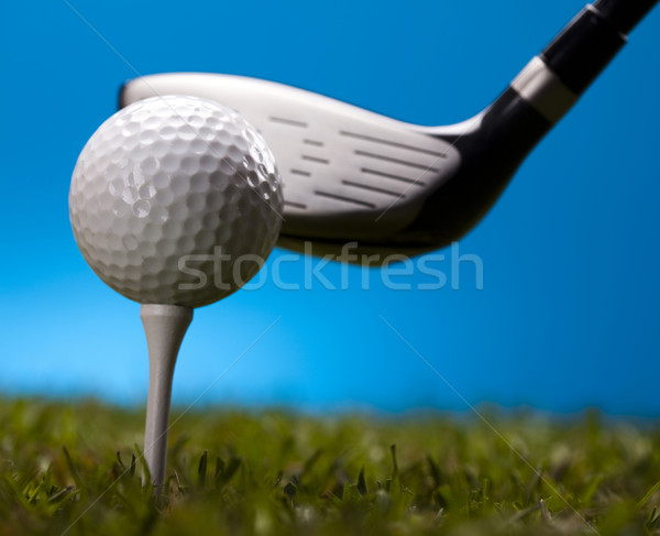 Golf club Stock photo © JanPietruszka