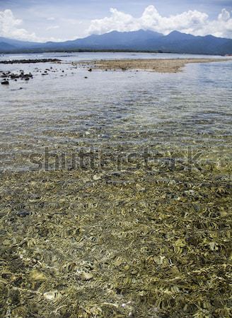 Insel Luft Indonesien Wasser Sommer blau Stock foto © JanPietruszka