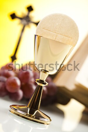 Symbol chrześcijaństwo religii jasne książki Jezusa Zdjęcia stock © JanPietruszka