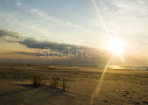 Sand Dunes, pure nature beautiful landscape Stock photo © JanPietruszka