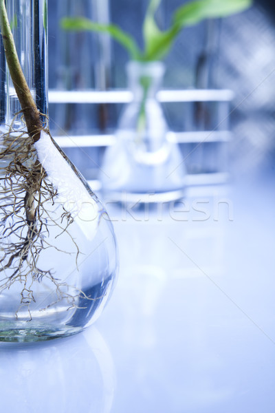 Stock fotó: Biotechnológia · vegyi · laboratórium · üvegáru · bio · organikus