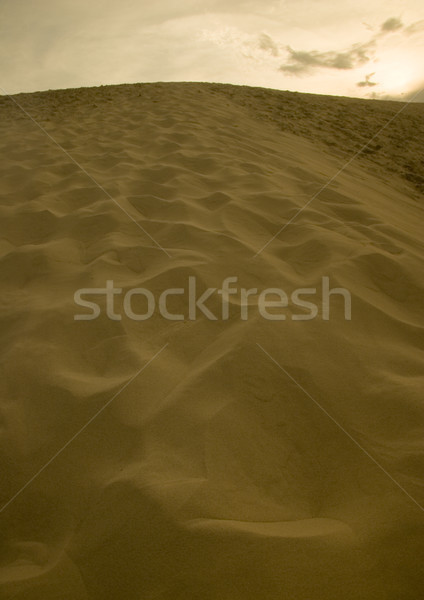 Desert pure nature beautiful landscape Stock photo © JanPietruszka