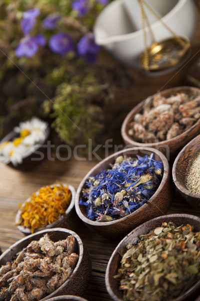 Herbs, berries and flowers with mortar, on wooden table backgrou Stock photo © JanPietruszka